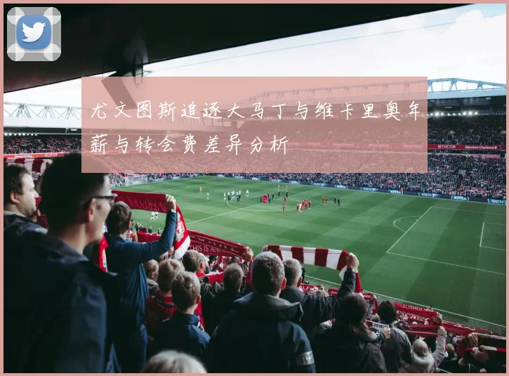 尤文图斯追逐大马丁与维卡里奥年薪与转会费差异分析